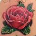 Tattoos - REAL ROSE - 79246